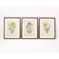 Homescapes Wall Decoration Set of 3 Frames with Picture, Wildflowers
