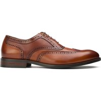 Diplodocus Brogue Shoes