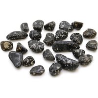 Small African Tumble Stones Guinea Fowl