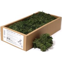 Decoration Reindeer Moss Grass