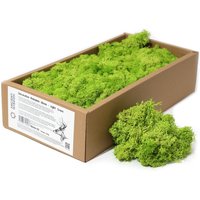 Decoration Reindeer Moss Light Grass