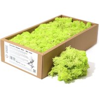 Decoration Reindeer Moss Mint Green