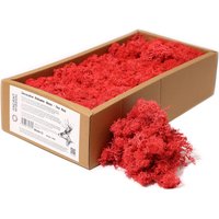 Decoration Reindeer Moss Fire