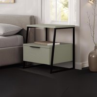FWStyle Sage Green 1 Door Bedside Table Nightstand Black Metal