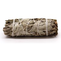 Smudge Stick Sage & Pirul Foliage