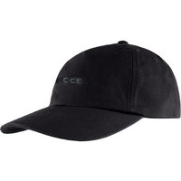Graphic Logo Adjustable Plain Ash Cap