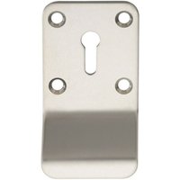 Loops Standard Lock Cylinder Pull Handle 78.5 x 43mm Bright Stainless Steel in Metallics