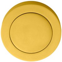 Loops 51mm Polished Brass Blank Escutcheon Concealed Fix Rose Modern Keyhole Cover in Metallics