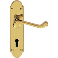 Loops PAIR Victorian Upturned Handle on Lock Backplate 170 x 42mm Polished Brass in Metallics