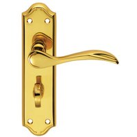 Loops PAIR Curved Door Handle Lever on Bathroom Backplate 180 x 45mm Polished Brass in Metallics