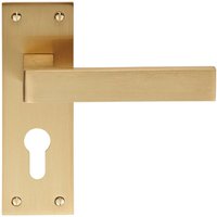 Loops PAIR Straight Square Handle on Euro Lock Backplate 150 x 50mm Satin Brass in Metallics