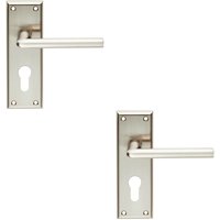 Loops 2x PAIR Rounded Lever on Euro Lock Backplate Handle 150 x 50mm Satin Nickel in Metallics