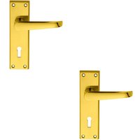 Loops 2x PAIR Straight Victorian Handle on Lock Backplate 150 x 43mm Polished Brass in Metallics