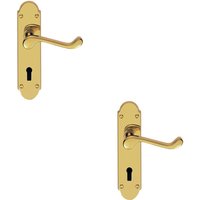 Loops 2x PAIR Victorian Upturned Handle on Lock Backplate 170 x 42mm Polished Brass in Metallics