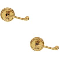 Loops 2x PAIR Georgian Scroll Handle on Round Rose Rope Design Pattern Polished Brass in Metallics