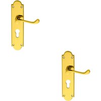 Loops 2x PAIR Victorian Scroll Lever on Euro Lock Backplate 205 x 49mm Polished Brass in Metallics
