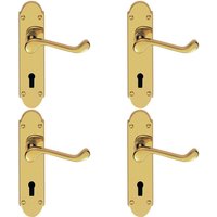 Loops 4x PAIR Victorian Upturned Handle on Lock Backplate 170 x 42mm Polished Brass in Metallics