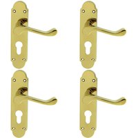 Loops 4x PAIR Victorian Upturned Lever on Euro Lock Backplate 170 x 42 Polished Brass in Metallics