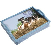 Loops Laminated Wooden Lap Tray with Built in Cushion - 100 x 400 x 300mm - Dog Design