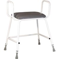 Loops Bariatric Perching Stool - Arms & Backrest - Adjustable Height - 254kg Limit