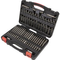 Loops 74pc TRX-Star SECURITY / Hex / Spline / Ribe Socket Bit Set 3/8" & 1/2" Sq Drive