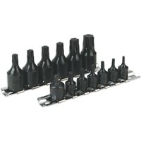 Loops 13 PACK TRX Star Socket Bit Set - 1/4" & 3/8" Square Drive - BLACK OXIDE T10 T60