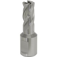 Loops 12mm x 25mm Depth Rotabor Cutter - M2 Steel Annular Metal Core Drill 19mm Shank in Metallics