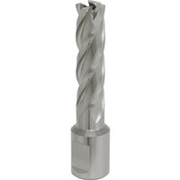 Loops 15mm x 50mm Depth Rotabor Cutter - M2 Steel Annular Metal Core Drill 19mm Shank in Metallics