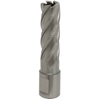 Loops 17mm x 50mm Depth Rotabor Cutter - M2 Steel Annular Metal Core Drill 19mm Shank in Metallics
