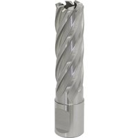 Loops 18mm x 50mm Depth Rotabor Cutter - M2 Steel Annular Metal Core Drill 19mm Shank in Metallics