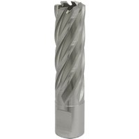 Loops 19mm x 50mm Depth Rotabor Cutter - M2 Steel Annular Metal Core Drill 19mm Shank in Metallics