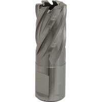 Loops 19mm x 25mm Depth Rotabor Cutter - M2 Steel Annular Metal Core Drill 19mm Shank in Metallics
