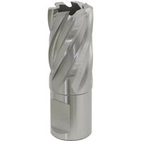 Loops 20mm x 25mm Depth Rotabor Cutter - M2 Steel Annular Metal Core Drill 19mm Shank in Metallics