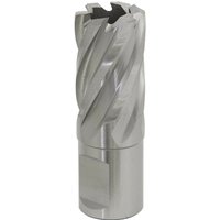 Loops 21mm x 25mm Depth Rotabor Cutter - M2 Steel Annular Metal Core Drill 19mm Shank in Metallics