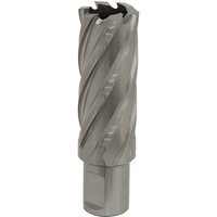 Loops 24mm x 50mm Depth Rotabor Cutter - M2 Steel Annular Metal Core Drill 19mm Shank in Metallics