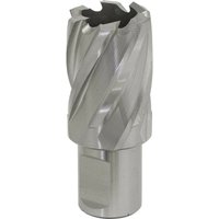 Loops 26mm x 25mm Depth Rotabor Cutter - M2 Steel Annular Metal Core Drill 19mm Shank in Metallics