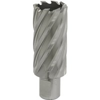 Loops 29mm x 50mm Depth Rotabor Cutter - M2 Steel Annular Metal Core Drill 19mm Shank in Metallics
