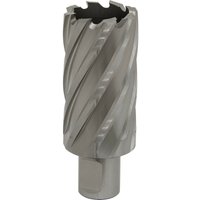 Loops 33mm x 50mm Depth Rotabor Cutter - M2 Steel Annular Metal Core Drill 19mm Shank in Metallics