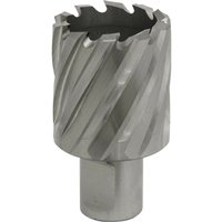 Loops 34mm x 25mm Depth Rotabor Cutter - M2 Steel Annular Metal Core Drill 19mm Shank in Metallics
