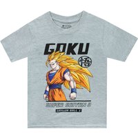 Z Goku T Shirt