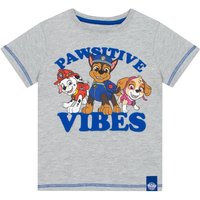 Paw Patrol Boy's PAWsitive Vibes T-Shirt in Grey | Size: 6-7 Years