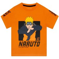Naruto Boy's Anime Short Sleeve T-Shirt in Orange | Size: 8-9 Years