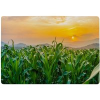 Benjamin Tate Design Green Corn Field In Agricultural Garden & Light Shines Sunset Designer Rug in Natural | Size: Large
