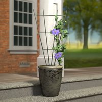 Primrose Metal Fan Design Potted Plant Support in Green 91cm