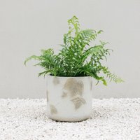 Primrose Natural Stone Effect Round Patio Planter in Embossed Leaf Pattern 30cm in Grey