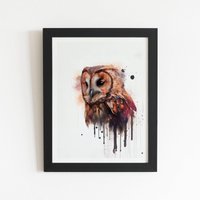 Warren Reed - Designer Tawny Owl Face Splashart Light Background Framed Art Print in Black | Size: W16" x H24"