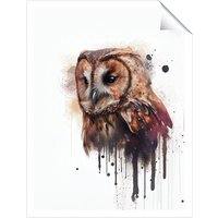 Warren Reed - Designer Tawny Owl Face Splashart Light Background Unframed Art Print | Size: W20" x H30"