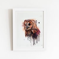 Warren Reed - Designer Tawny Owl Face Splashart Light Background Framed Art Print in White | Size: W24" x H36"