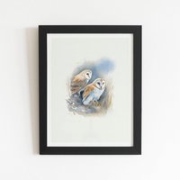 Warren Reed - Designer Barn Ano Owls Watercolour Framed Art Print in Black | Size: W8" x H10"