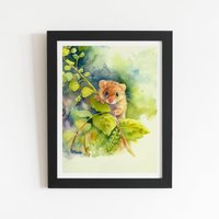 Warren Reed - Designer Dormouse Watercolour Framed Art Print in Black | Size: W8" x H10"